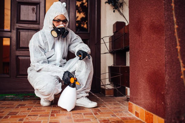 Reliable Cockroach Control contractor in Ellington, MO by Nex Pest Control